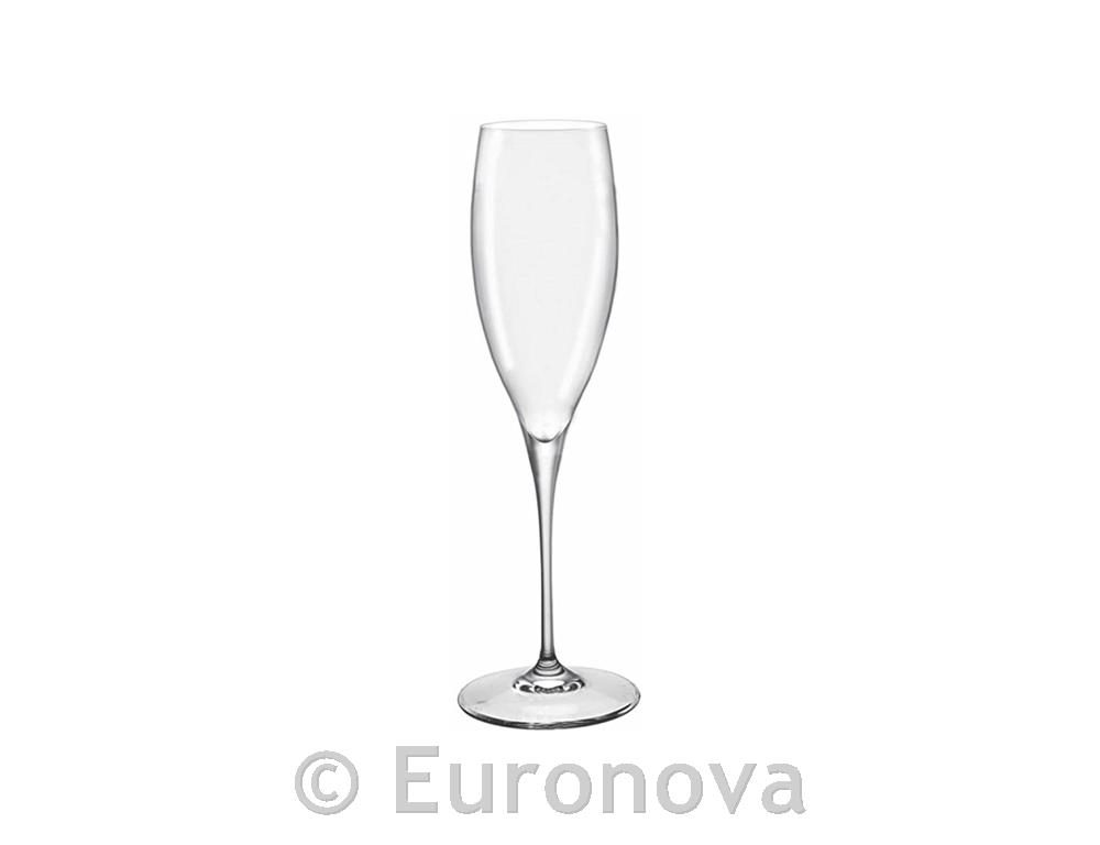 Premium Champagne Glass /25cl/ 0.1L CE