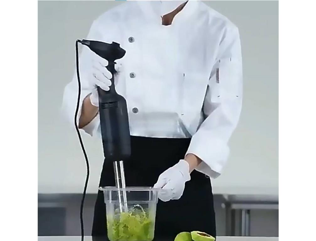 Professional Stick Blender / 270W