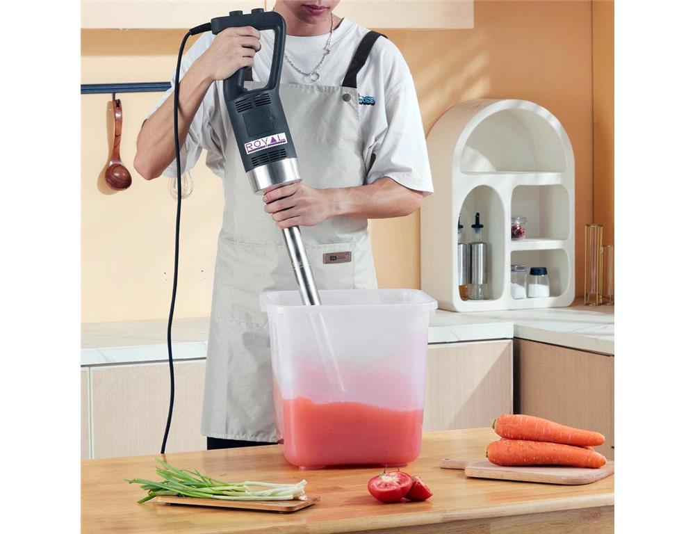 Professional Stick blender / 750W