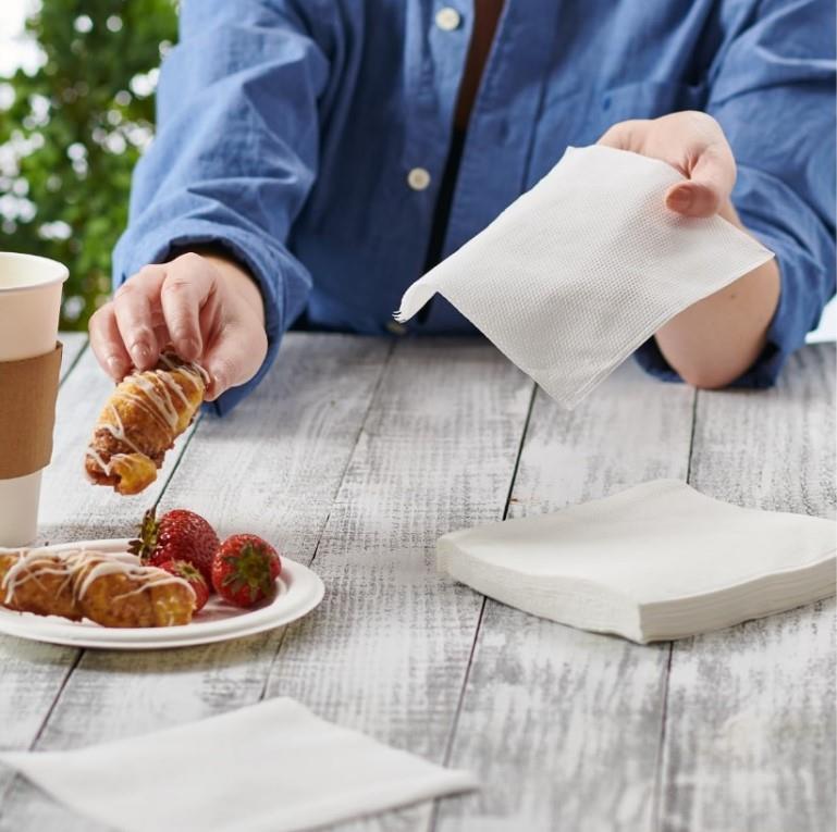 Napkins /1ply/ 24x24cm /White/ 500pcs