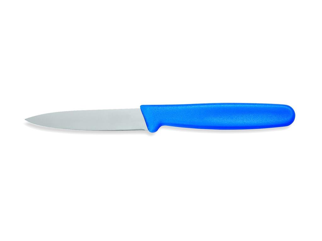 Peeling Knife / 8cm / Blue