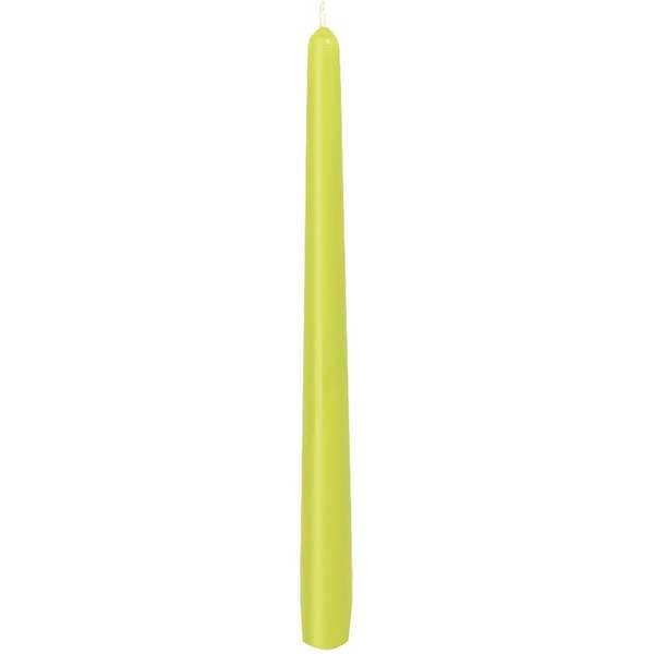 Ancient Candles / Kiwi / 25cm / 50pcs