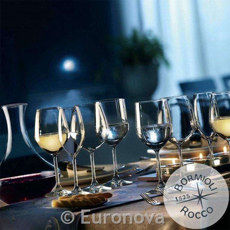 Restaurant Champagne Glass / 24cl / 6pcs