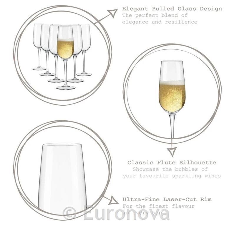 Spazio champagne glass / 19cl / 3pcs