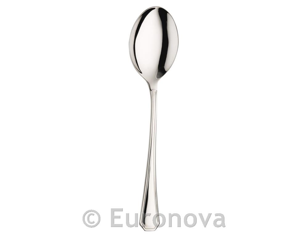 America Spoon / 2.5mm / 20cm / 12 pcs