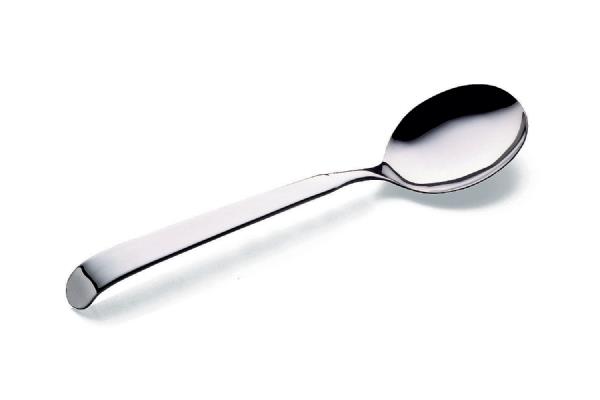 Serving Spoon Astra / 28cm