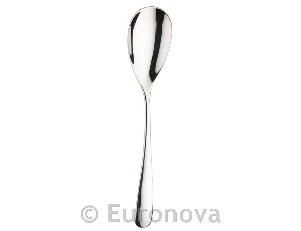 Swing Spoon / 3mm / 21cm