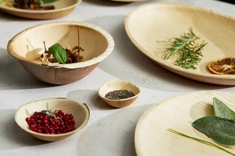 Eco Plate / 25x16cm / Palm / 12pcs