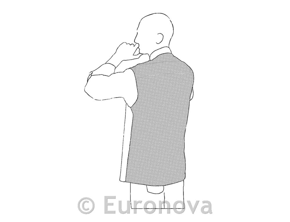 Chef Jacket / Ottavio / Bordeaux / S
