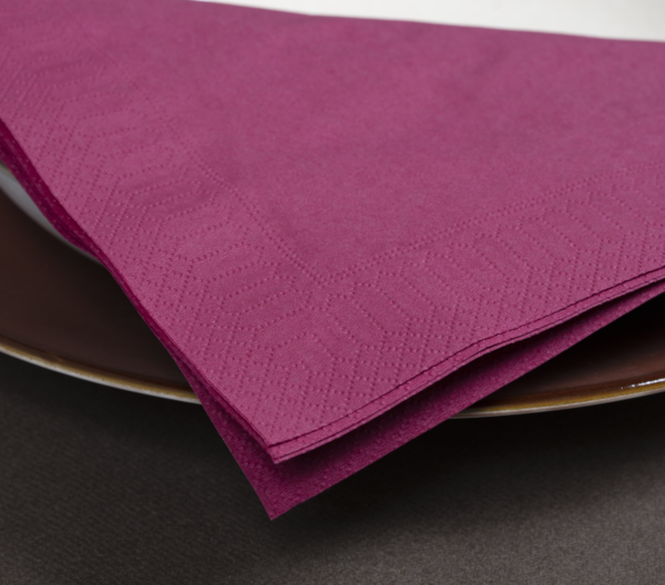 Napkins / 2ply / 24x24cm /bordeau/250pcs