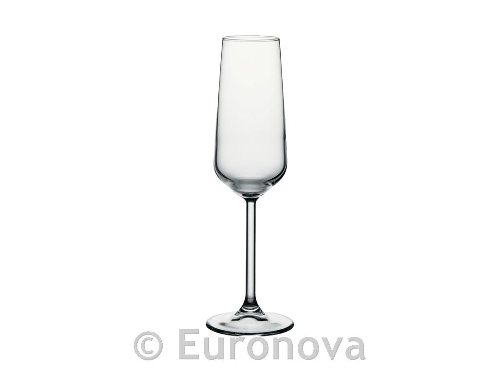 Allegra Champagne Glass / 19cl / 6pcs