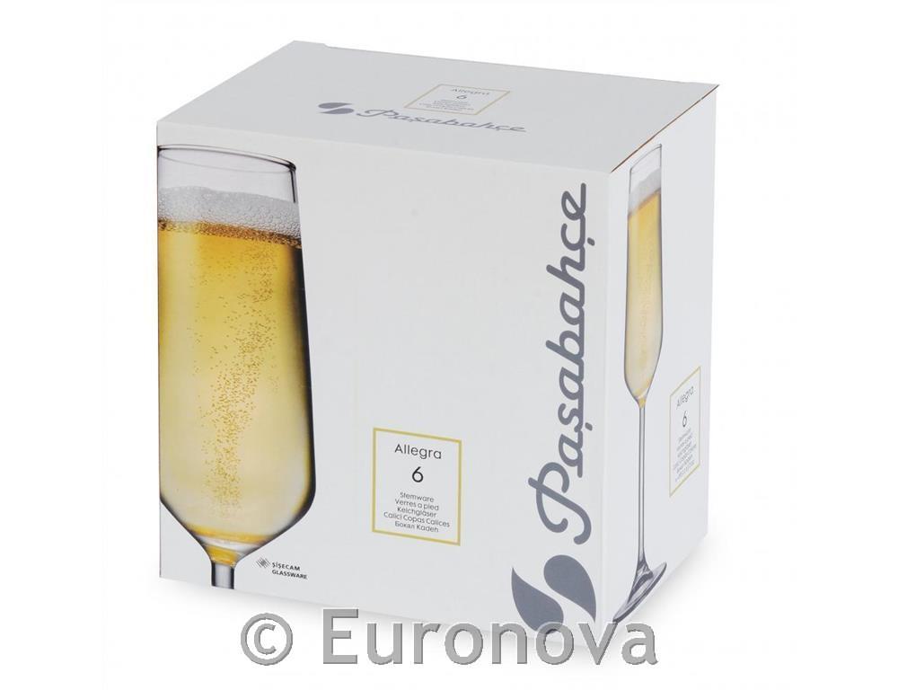 Allegra Champagne Glass / 19cl / 6pcs