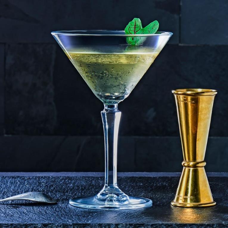 Hudson Martini Glass / 23cl / 6 pcs