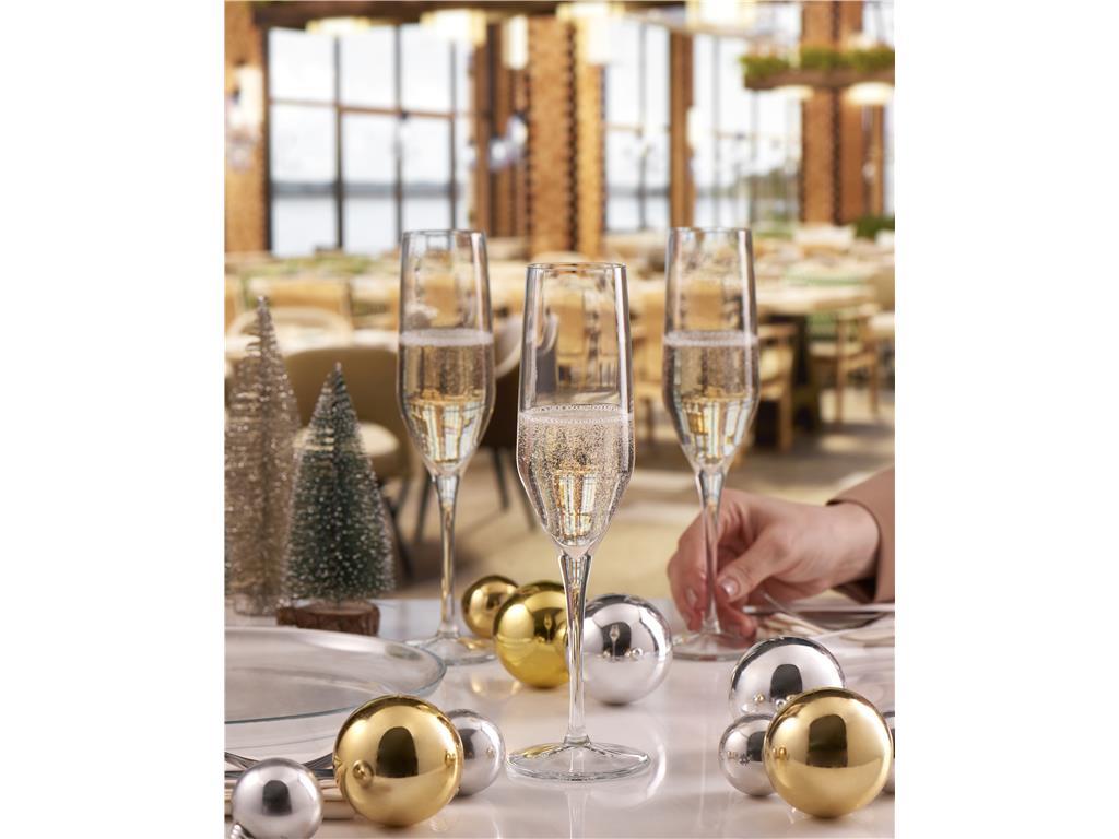 Napa Champagne Glass / 20cl / 6pcs