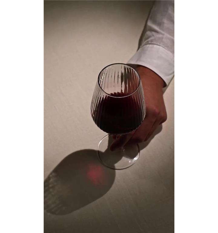 Allegra Focus Wine Glass / 49cl / 6pcs