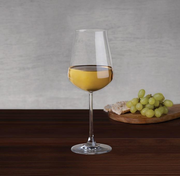 Salute wine Glass / 40cl / 6 pcs