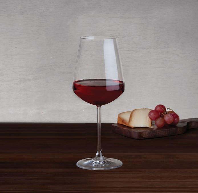 Salute wine Glass / 53cl / 6 pcs