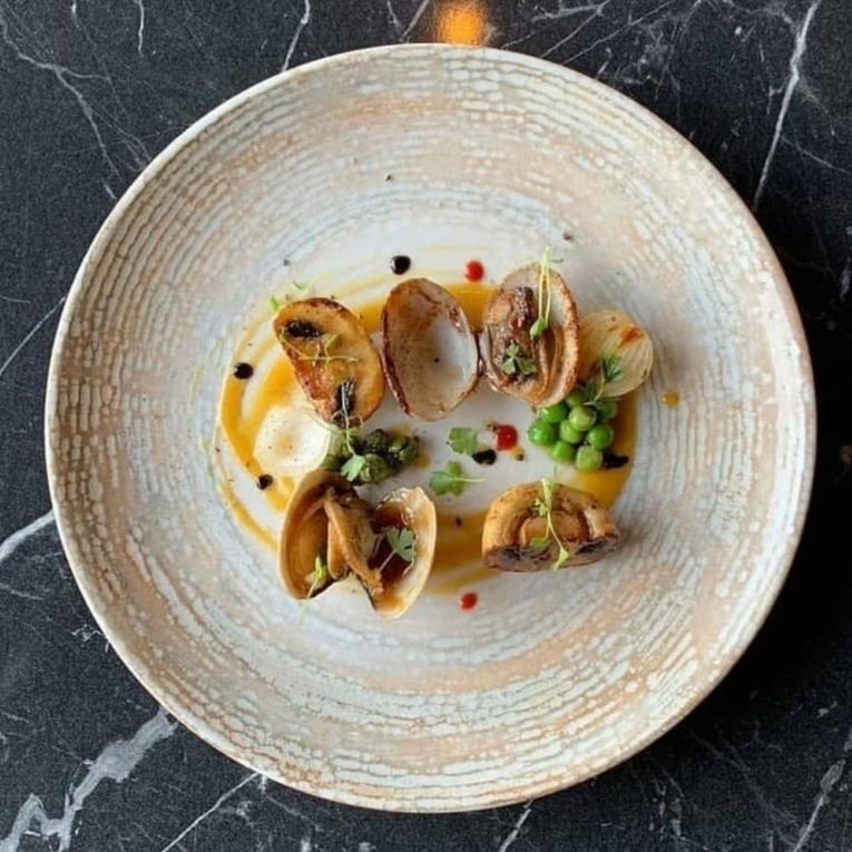 Patera Flat Plate Gourmet /25cm/ 12pc