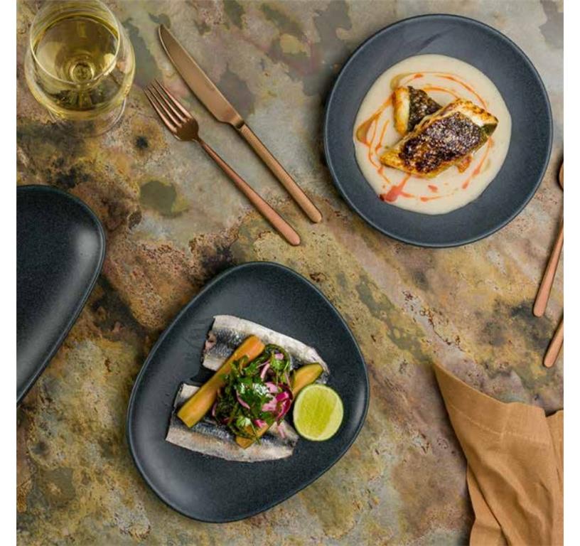 Graphite Deep Plate Gourmet /23cm/ 6pcs