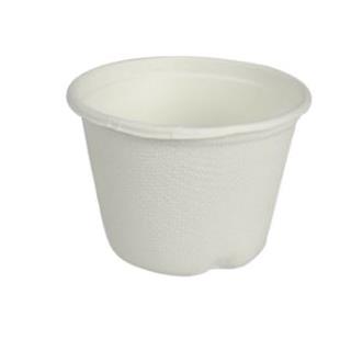 Disposable Sauce Cup / Eco / 120ml /50Pc