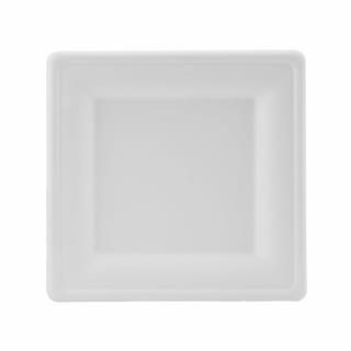 Eco Square Plate / 26x26cm / 50pcs