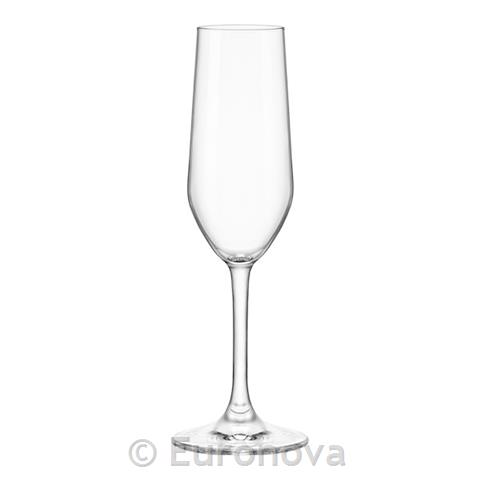 Riserva Champagne Glass / 18cl / 6pcs