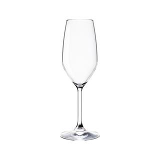 Divino Champagne Glass / 24cl / 6 pcs