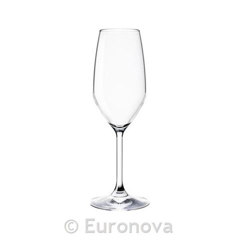 Restaurant Champagne Glass / 24cl / 6pcs