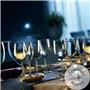 Restaurant Champagne Glass / 24cl / 6pcs
