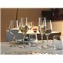 Electra Wine Glass / 35cl /0.1L CE/ 6pcs