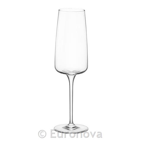 Nexo Champagne Glass / 26cl / 6pcs