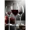 Fame wine Glass / 53cl / 6 pcs